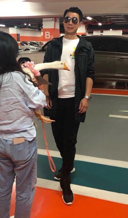 保劍鋒被粉絲(si)送活鵝，驚出雙下巴