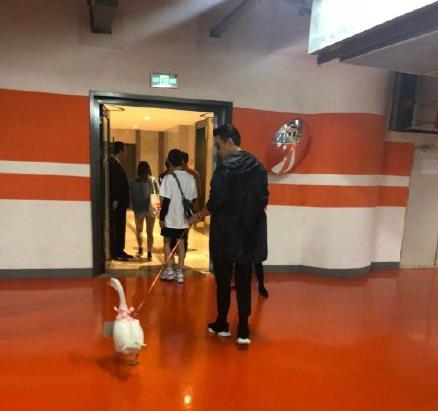 保劍鋒被粉絲(si)送活鵝，驚出雙下巴