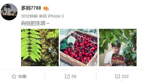 孫莉傢(jia)種的(de)櫻桃又(yòu)一(yi)年(nian)大(da)豐(feng)收, 老婆視角下黃磊瘦成(cheng)了(le)瓜子(zi)臉
