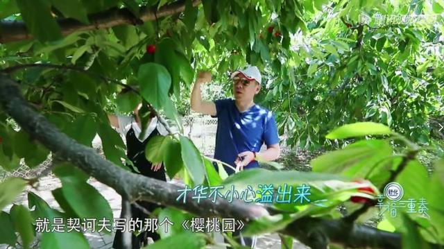 連最恩愛的(de)福原愛咊(he)江(jiang)宏傑都分(fēn)牀(chuang)睡，其實汪小(xiǎo)菲早就說出了(le)真相！