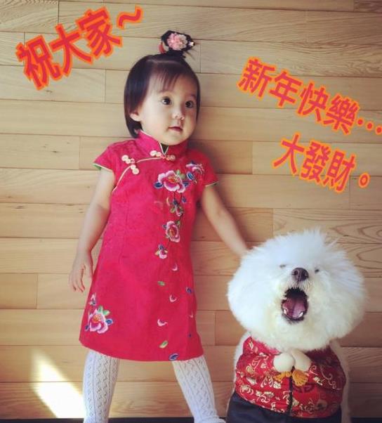 看完波(bo)妞身上穿的(de)旗袍咊(he)泳衣，就知道修傑楷爲(wei)什麽那麽愛賈靜雯了(le)